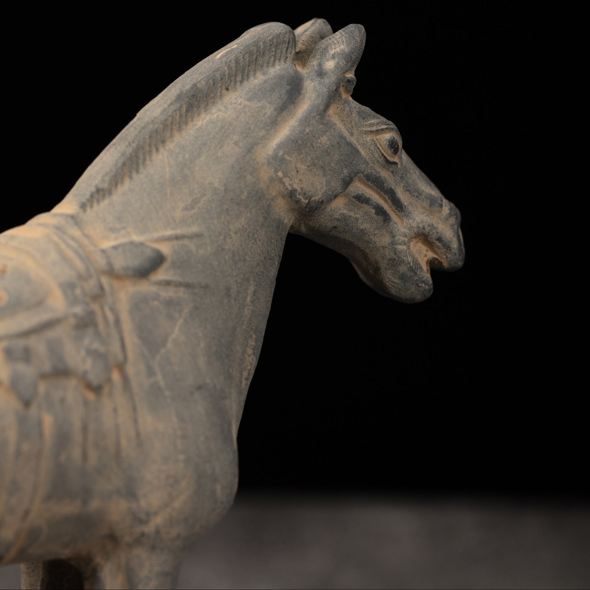 15CM Horse - CLAYARMY -Side view showcasing the lifelike features and craftsmanship of our 15CM Clayarmy Terracotta Horse.