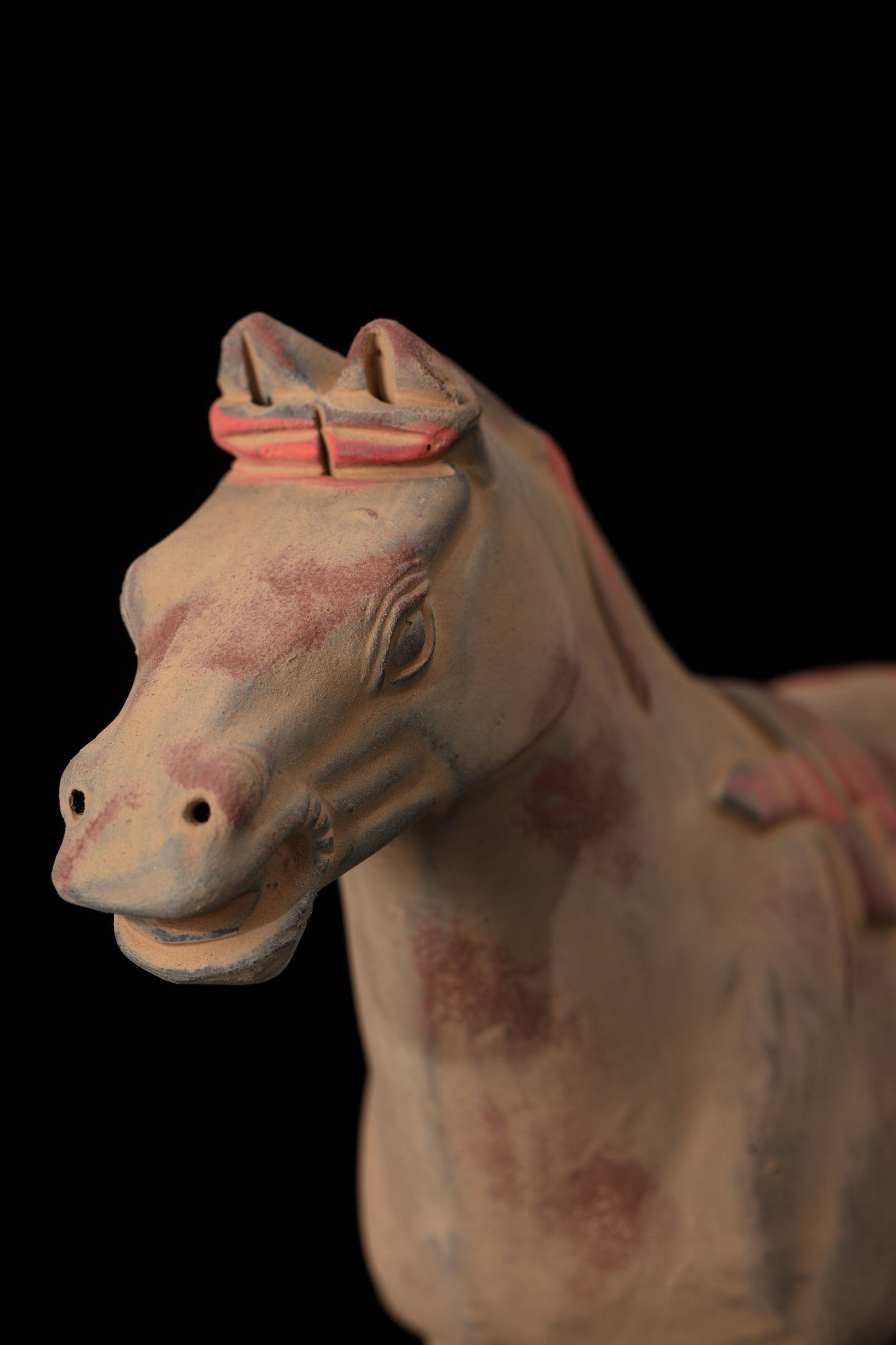 20CM Painted Horse - CLAYARMY -Close-up of the expressive eyes and ears, showcasing the painted details that bring our 20CM Clayarmy Terracotta Painted Horse to life.