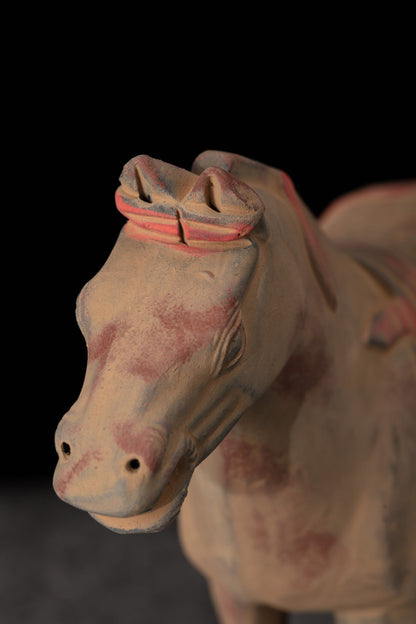20CM Painted Horse - CLAYARMY -Dynamic angle capturing the vivid colors and lifelike expression of our 20CM Clayarmy Terracotta Painted Horse.