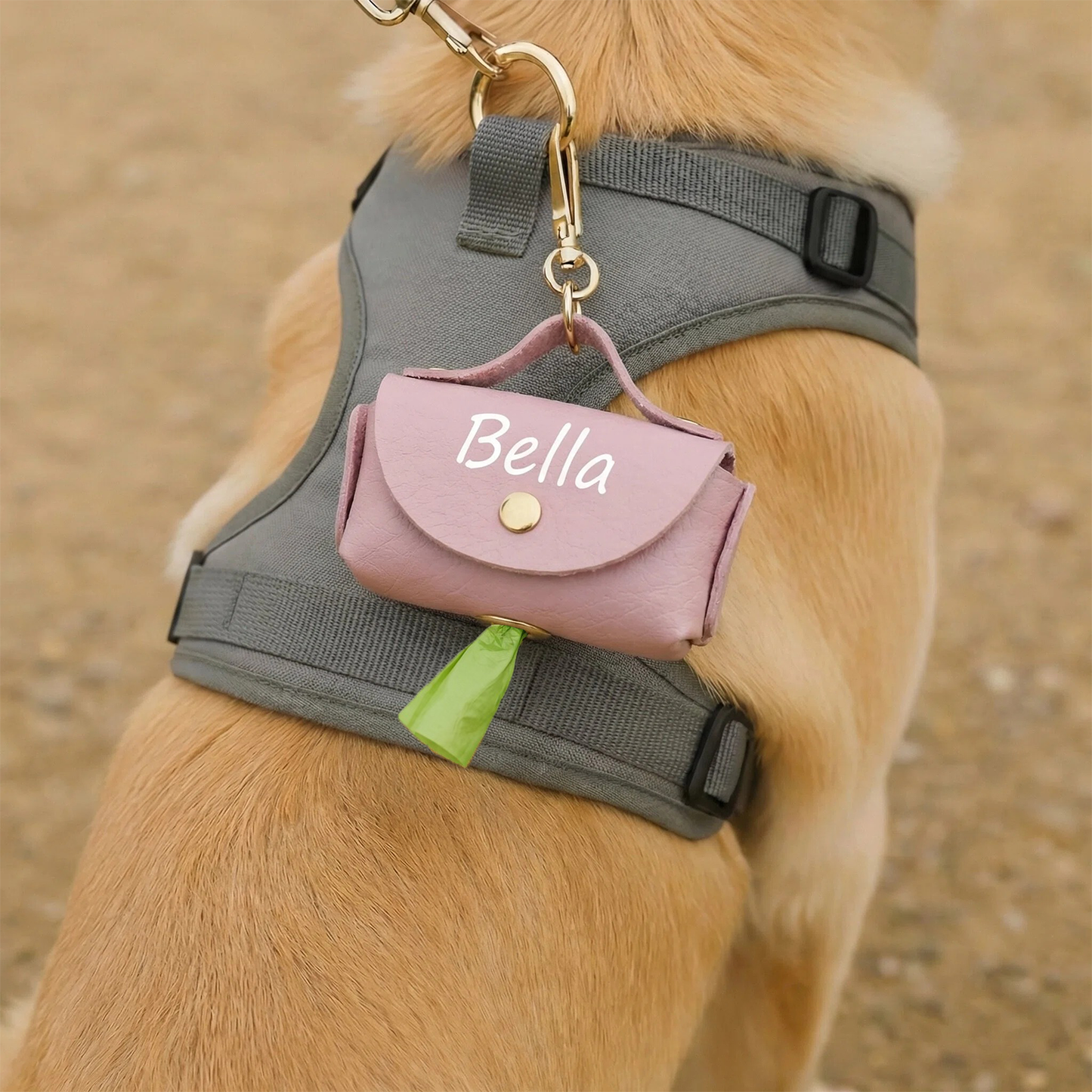 Dispenser Personalizzato di Sacchetti per Escrementi di Cane da Guinzaglio