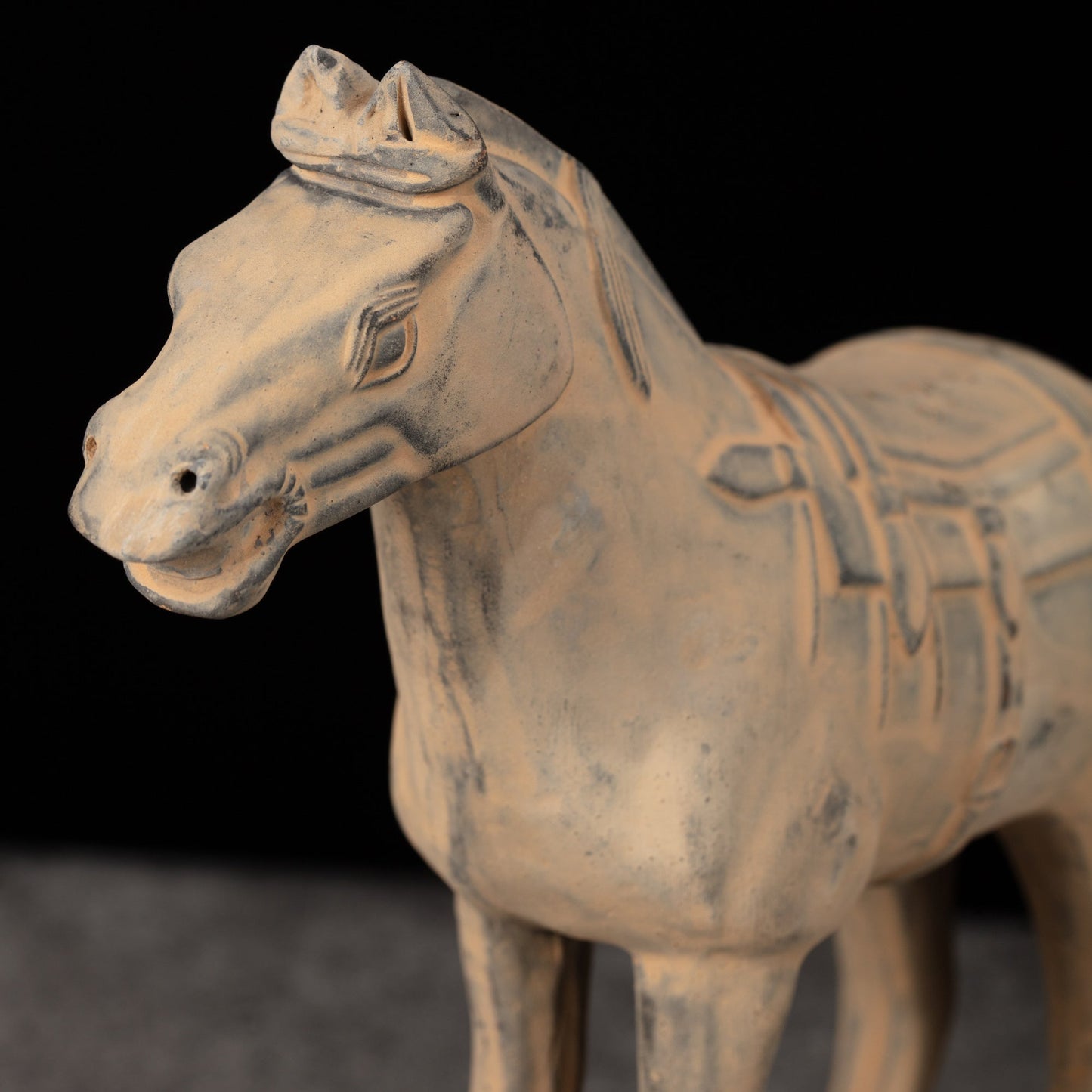 20CM Horse - CLAYARMY -Close-up of the expressive eyes and ears, highlighting the realism of our 20CM Clayarmy Terracotta Horse.
