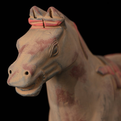 20CM Painted Horse - CLAYARMY -Close-up of the expressive eyes and ears, showcasing the painted details that bring our 20CM Clayarmy Terracotta Painted Horse to life.