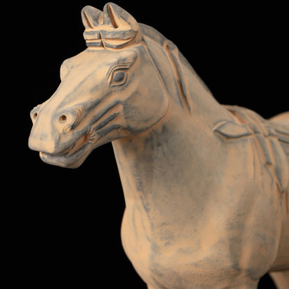 25CM Horse - CLAYARMY -Detailed close-up showcasing the intricate facial features and expressions of our 25CM Clayarmy Terracotta Horse.