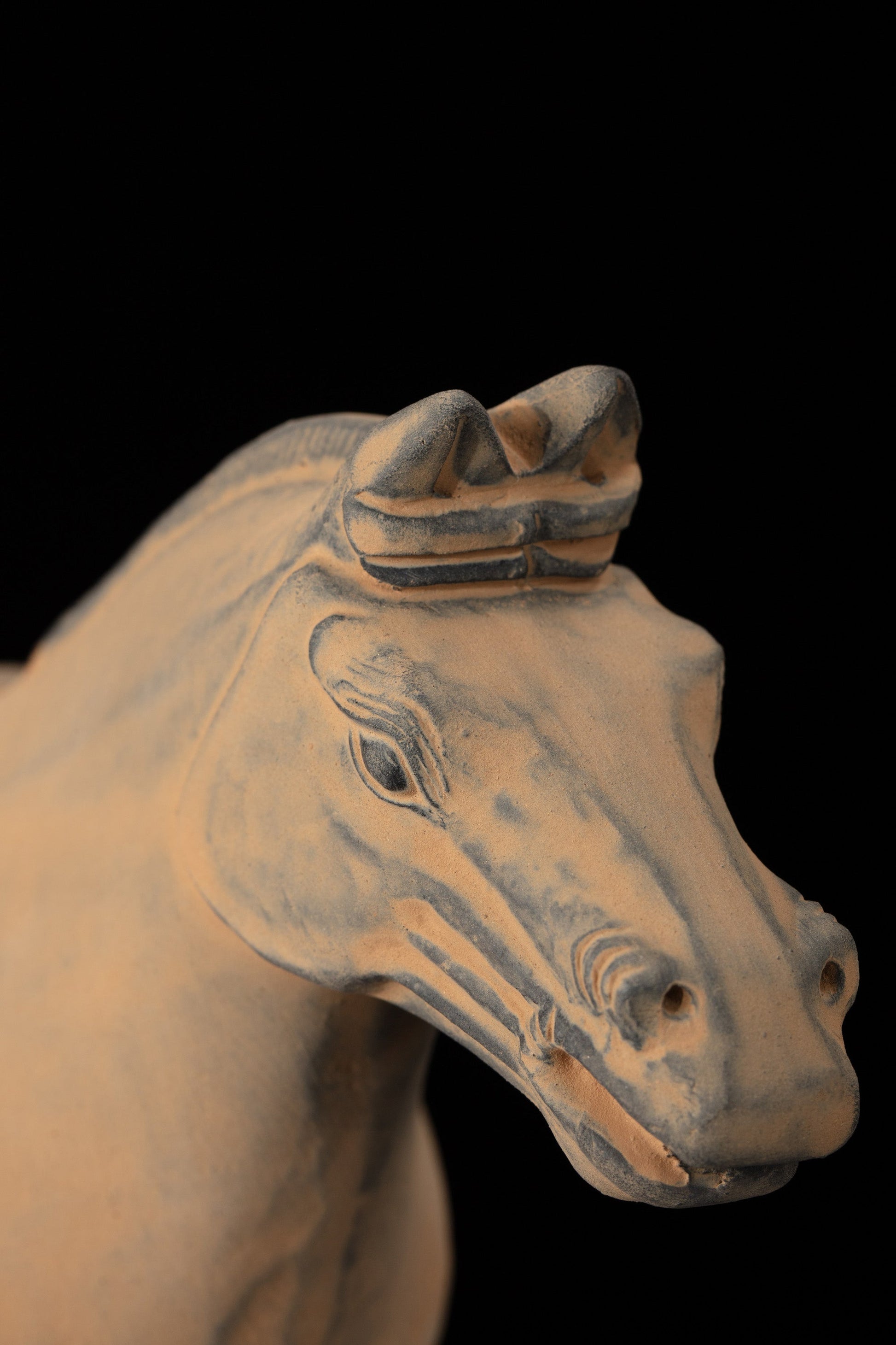 25CM Horse - CLAYARMY -Close-up of the expressive eyes, capturing the spirit and vitality of our 25CM Clayarmy Terracotta Horse.
