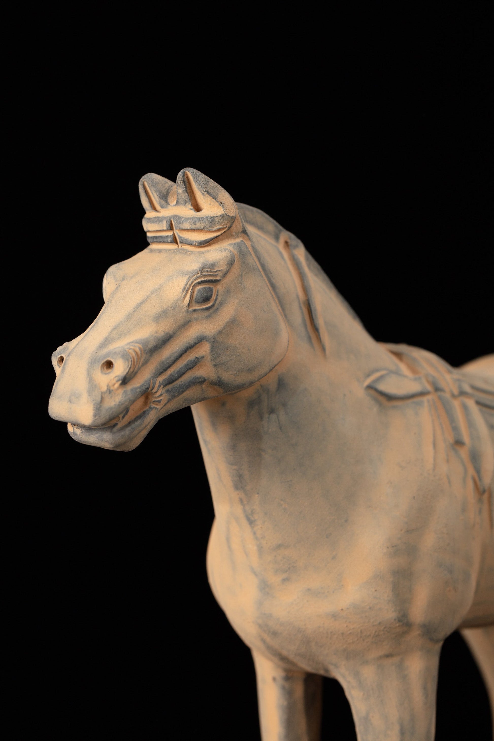 25CM Horse - CLAYARMY -Detailed close-up showcasing the intricate facial features and expressions of our 25CM Clayarmy Terracotta Horse.