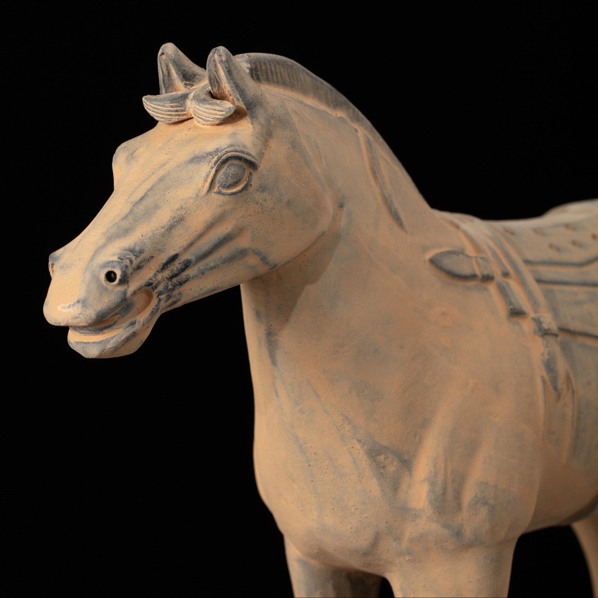 35CM Horse - CLAYARMY -Close-up detail of Clayarmy's 35CM Terracotta Horse – Lifelike features in yellow-brown clay.