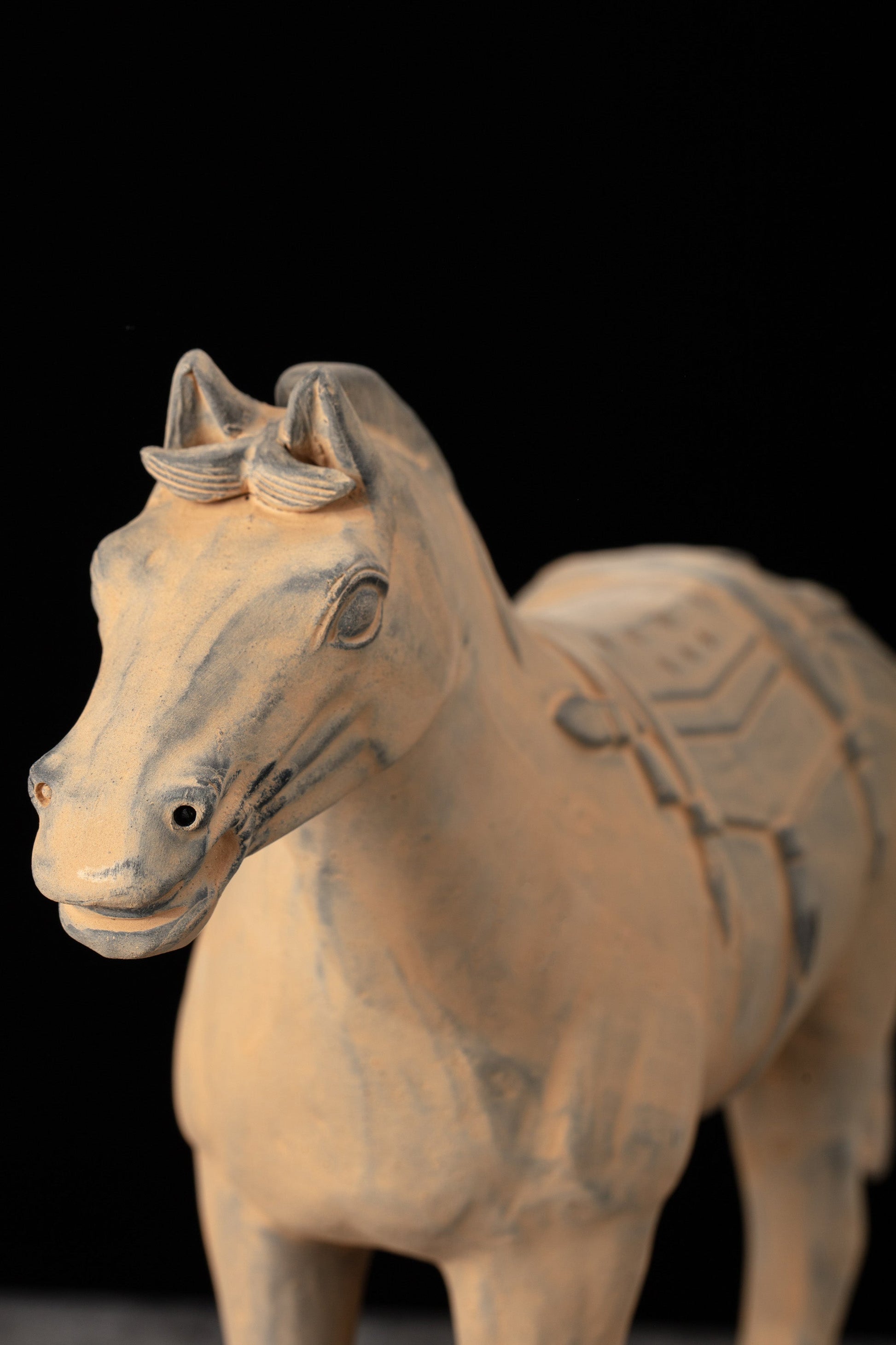 35CM Horse - CLAYARMY -Detailed close-up showcasing the expressive features and intricate detailing of our 35CM Clayarmy Terracotta Horse.