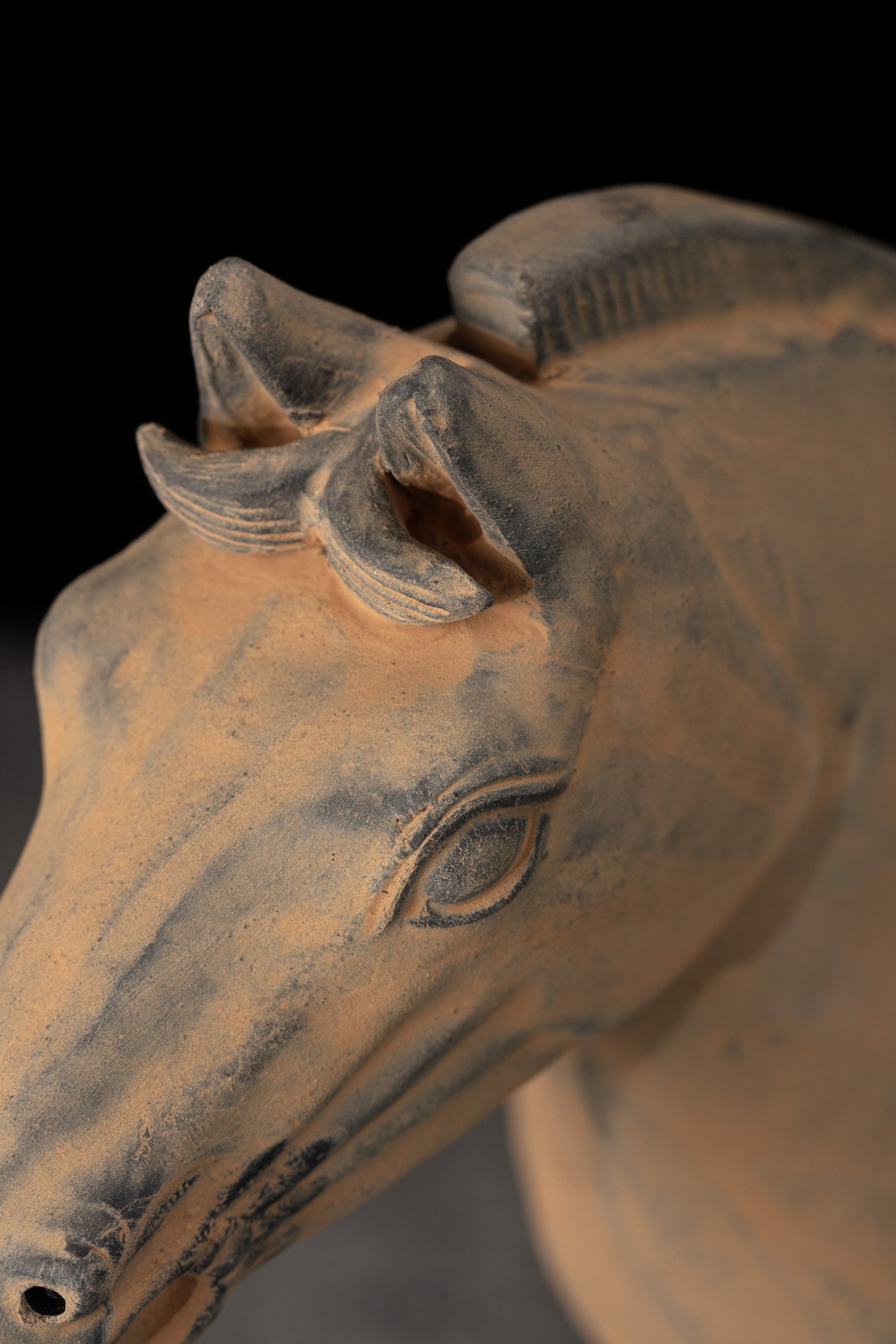 35CM Horse - CLAYARMY -Close-up of the expressive eyes, capturing the spirit and vitality of our 35CM Clayarmy Terracotta Horse.
