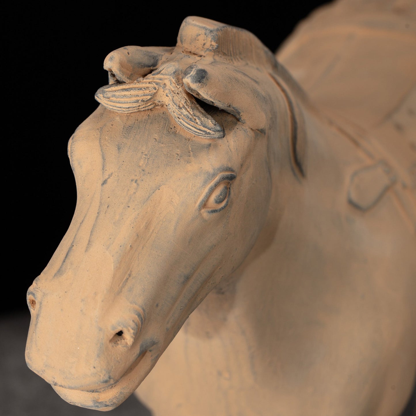 45CM Horse - CLAYARMY -Close-up of the expressive eyes, capturing the spirit and vitality of our 45CM Clayarmy Terracotta Horse.