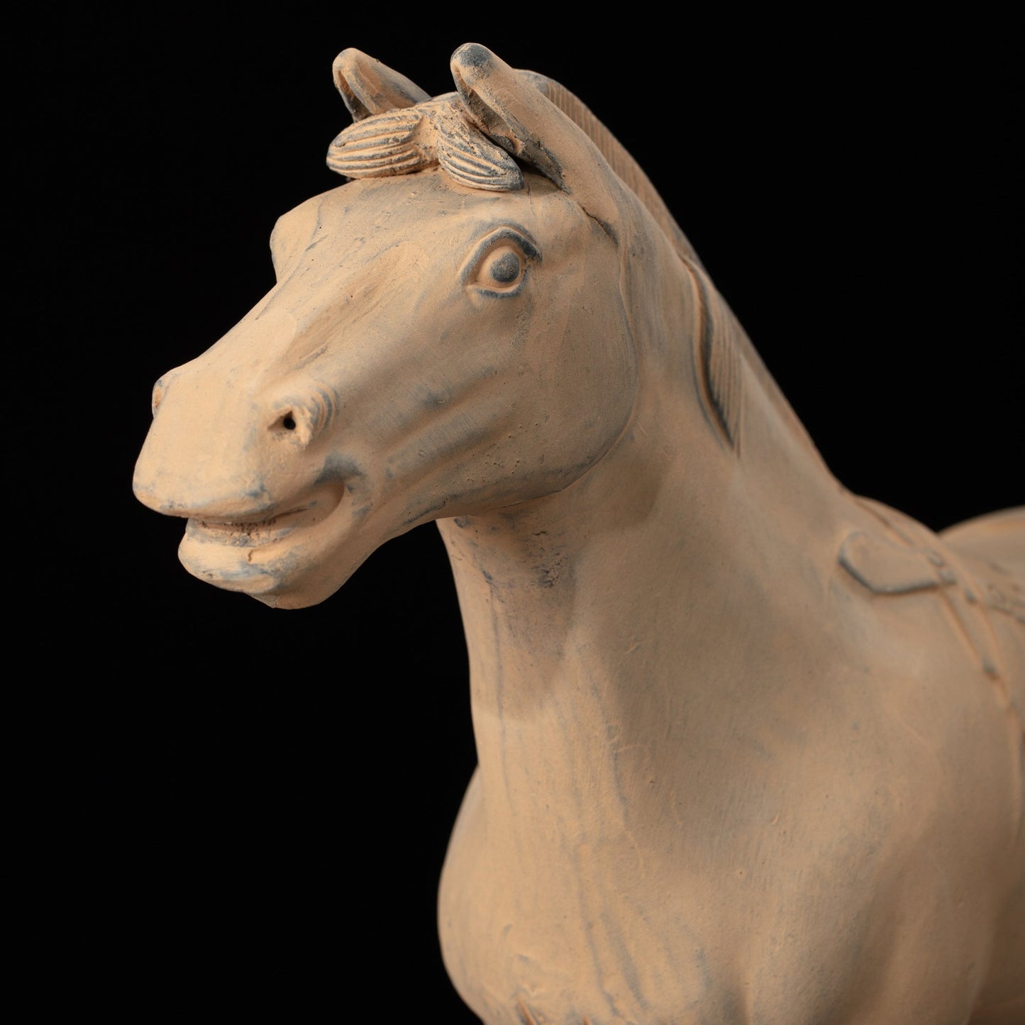 45CM Horse - CLAYARMY -Detailed close-up showcasing the expressive features and intricate detailing of our 45CM Clayarmy Terracotta Horse.