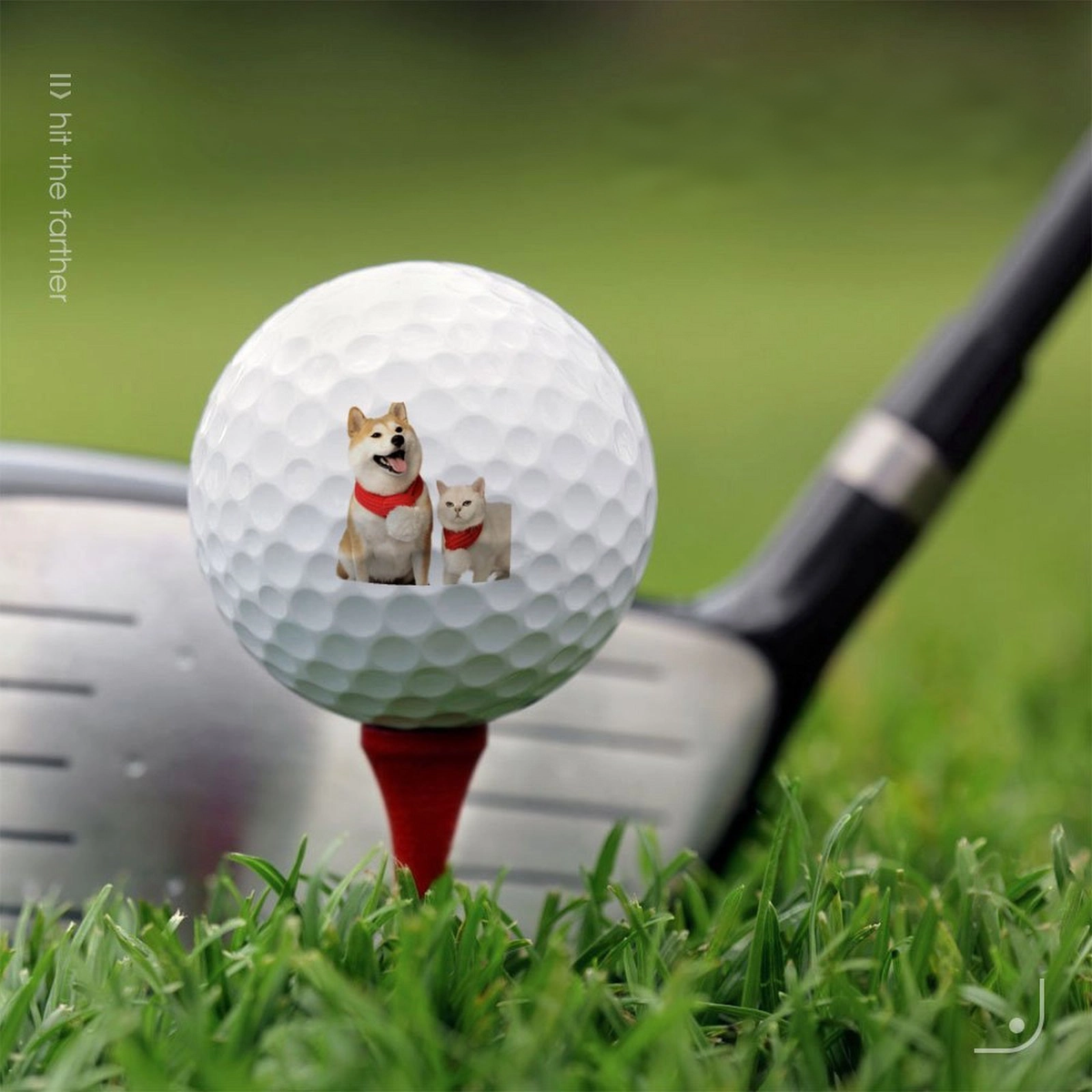 Balle de golf photo personnalisée - Cadeau imprimé sur mesure pour les golfeurs